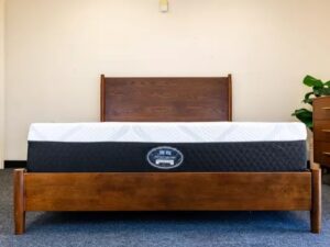 Tempur Mattress By D&I Mattress MFG