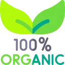Natural Mattress With Pillow Top 34 organic 1